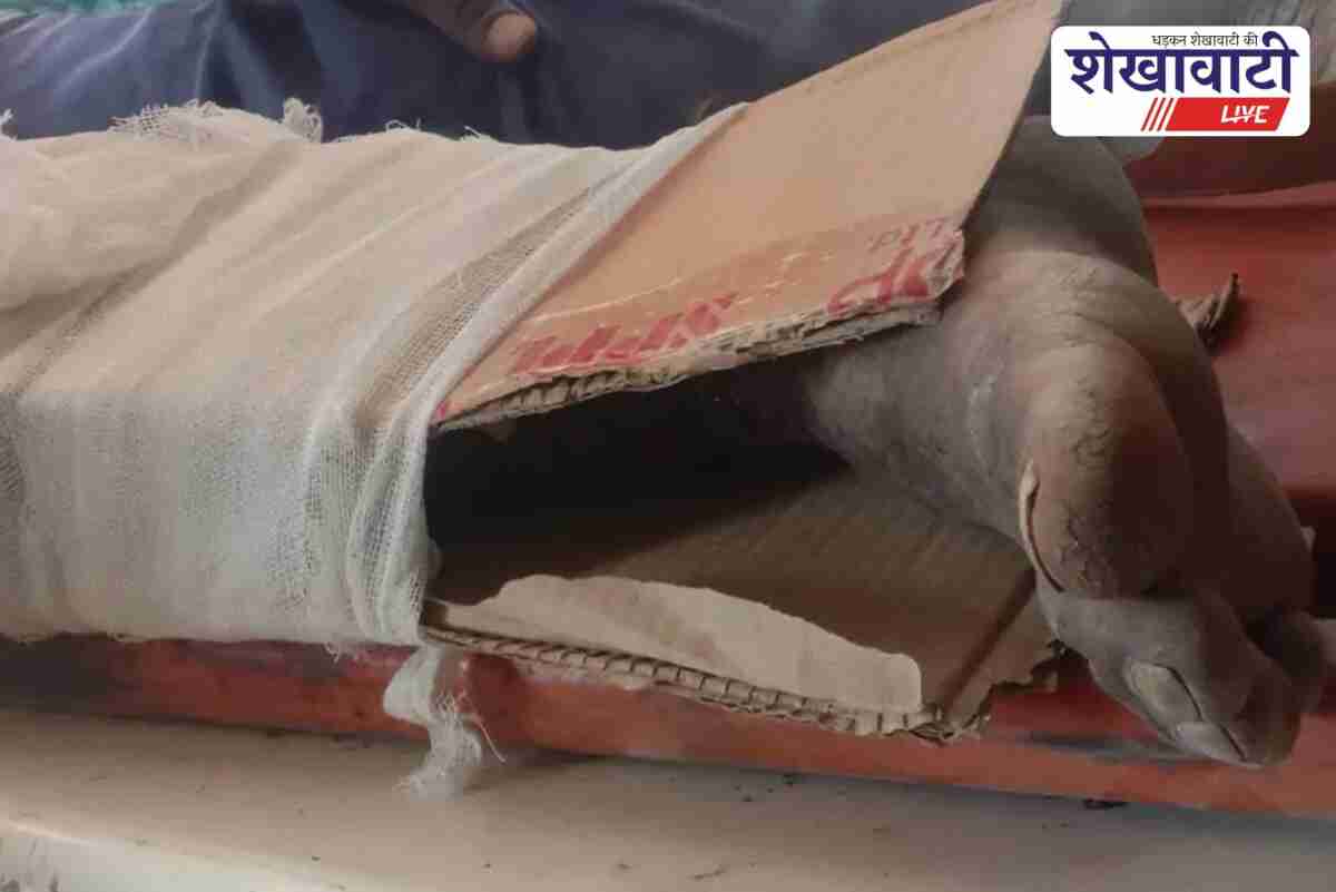 Injured man treated with cardboard splint at Sandwa CHC Churu