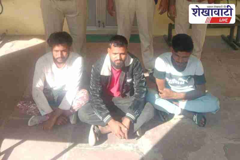 Mandawa police arrest three youths for following criminal gangs online