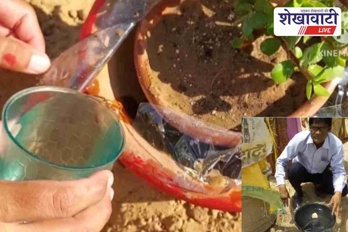 Bajrang Lal Jethu from Sikar selected for national water conservation award