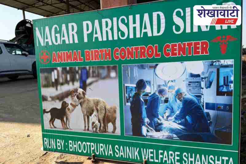 Sikar municipal team conducting ABC sterilization and rabies vaccination