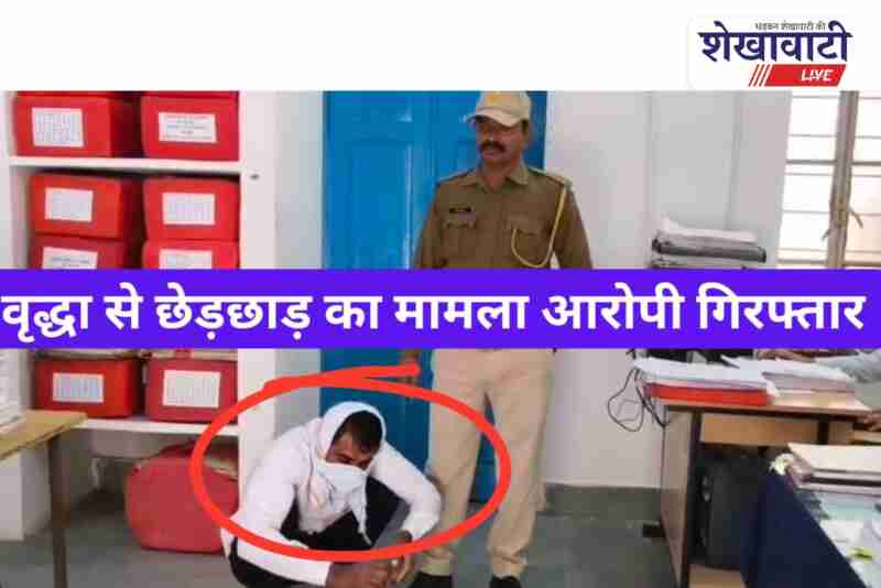 Ratangarh police arrest man for misconduct with elderly woman