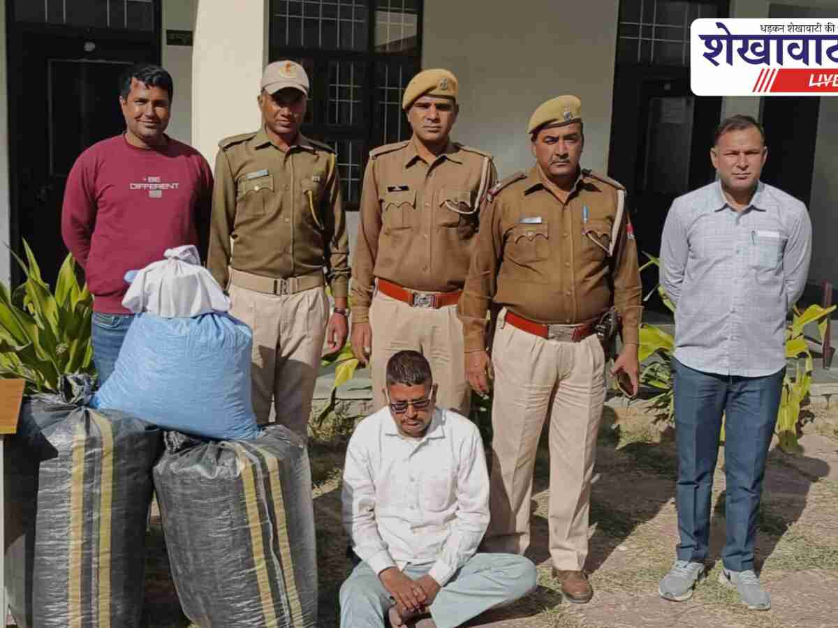 Sikar News: अफीम–गांजा जब्ती, पुलिस ने तस्कर पकड़ा