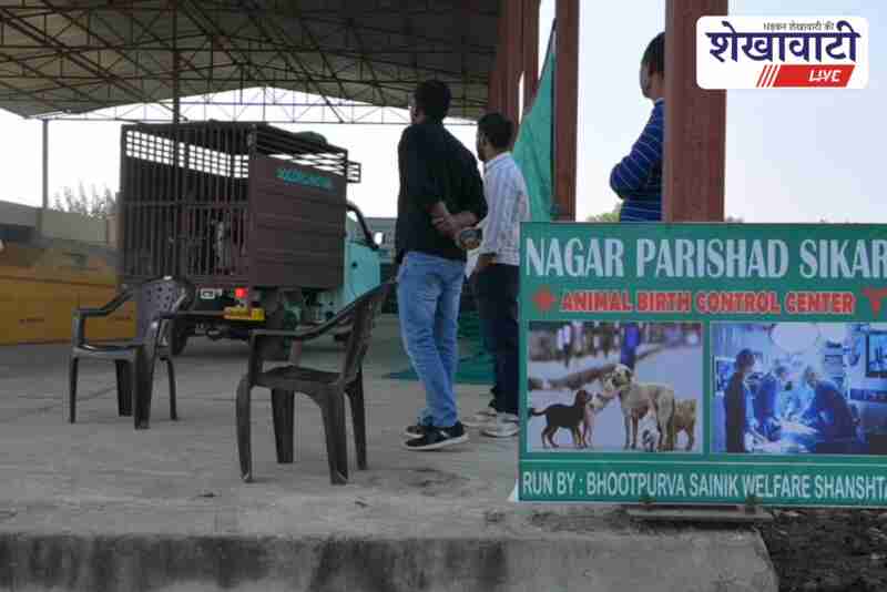 Sikar municipal team conducts ABC sterilization drive for stray dogs