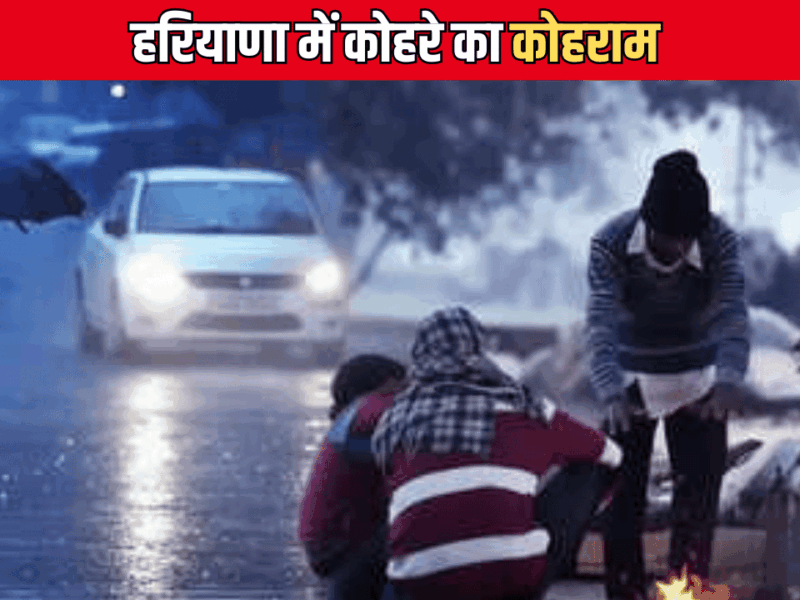 Haryana Weather : हरियाणा में कोहरे का कोहराम, विजिबिलिटी शून्य, 16 जिलों के लिए अलर्ट जारी, ये ट्रेनें चल रही है देरी से
