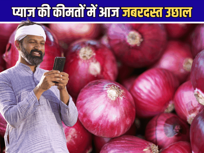 Onion Price Hike: प्याज की कीमतों में आज जबरदस्त उछाल, किसानों को मिली बड़ी राहत
