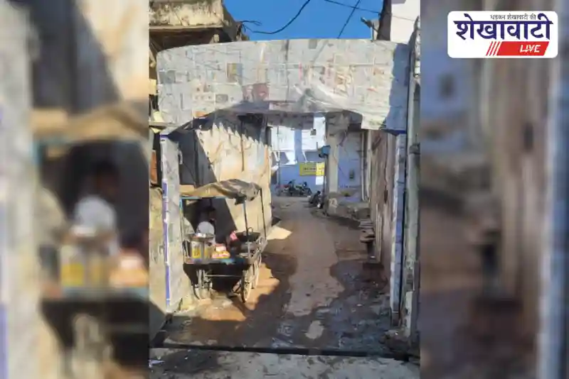 Modern toran gate installed at Bawalia Baba pilgrimage site | चिड़ावा में बावलिया बाबा के तोरण द्वार का लोकार्पण