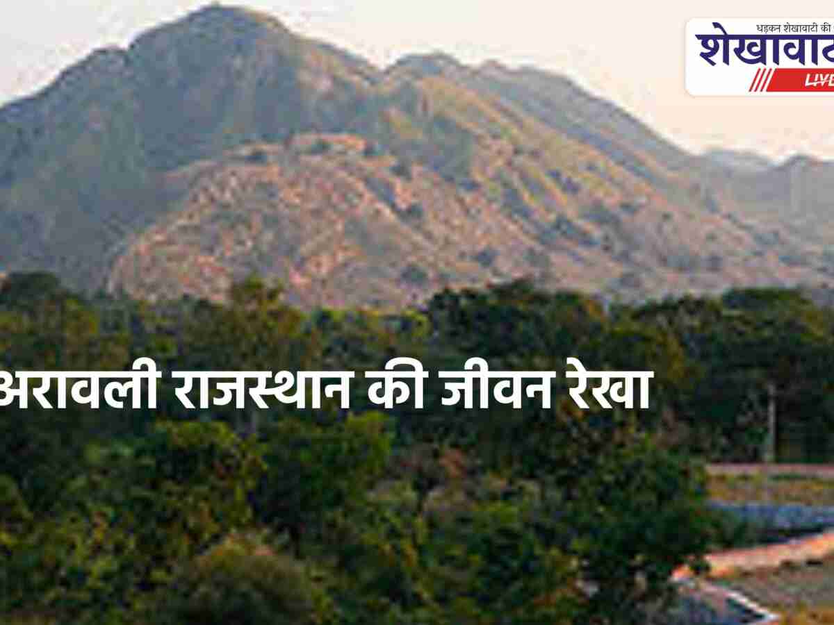 अरावली संरक्षण को लेकर कमूल एनजीओ का ज्ञापन, पीएम तक उठाई आवाज