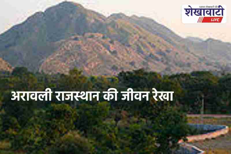 People gathering for Aravali protection protest at SDM office