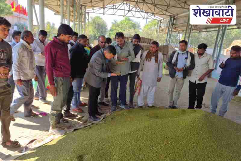 Collector Surana inspects MSP mung and groundnut weighing in Sardarshahar