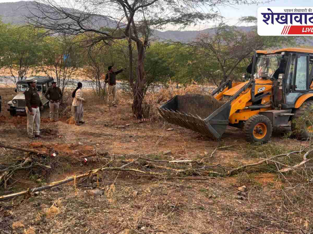मनसा माता कंजर्वेशन रिजर्व में बड़ा एक्शन, अतिक्रमण ध्वस्त