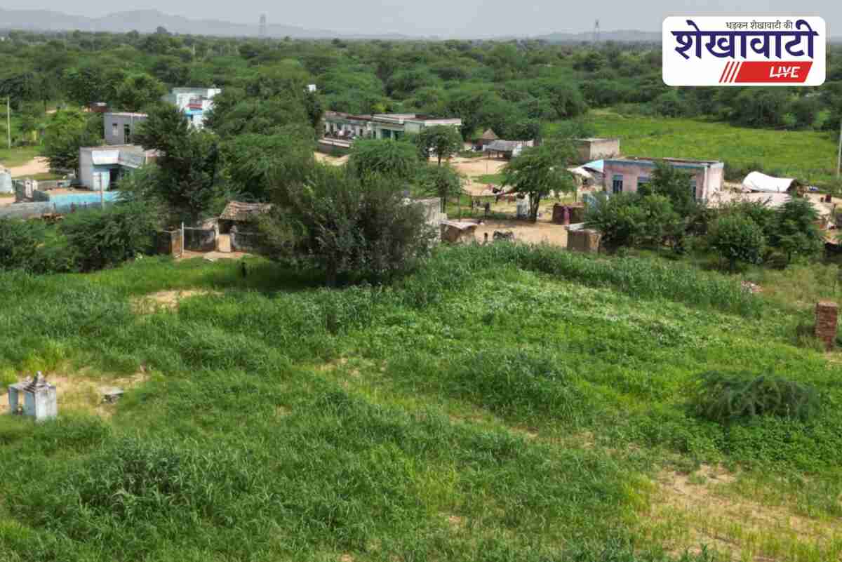 Bulldozers set for removal of encroachment on Ked grazing land