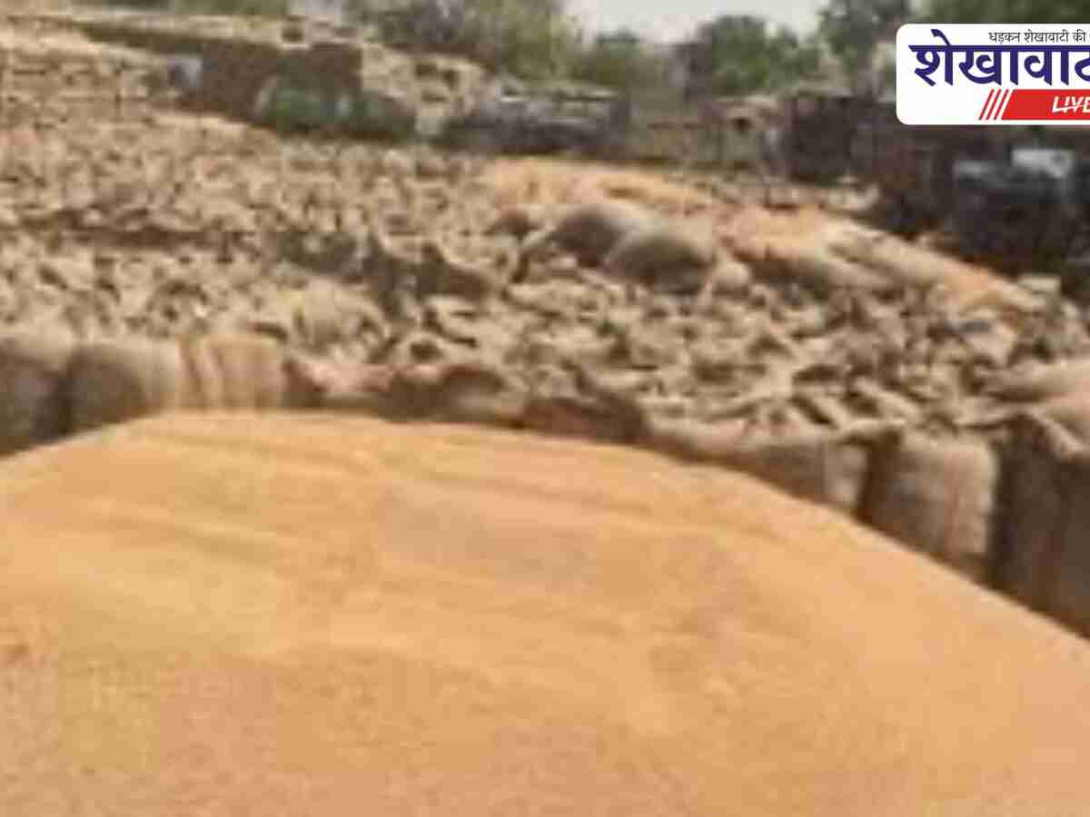 Churu News: कृषि उपज मंडी में 1 जनवरी से व्यापार स्थानांतरण