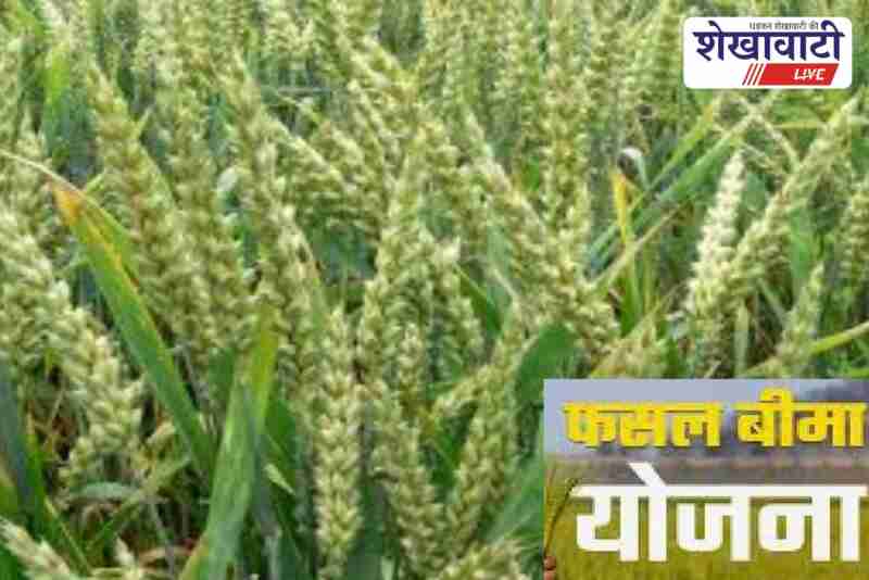 Churu farmers attend workshop on PM crop insurance scheme