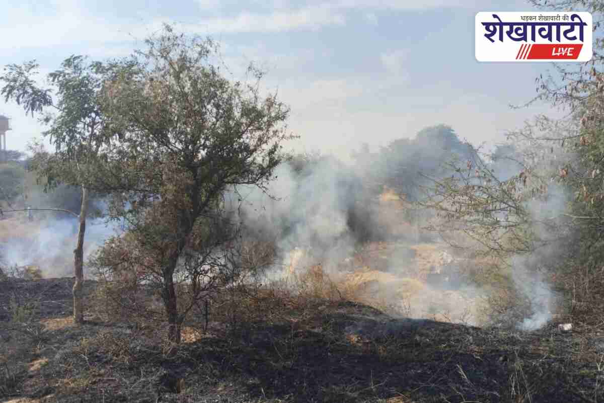 Fire brigade controls fire at Fatehpur Agriculture College in Sikar