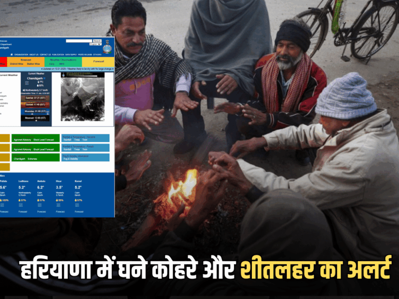 Haryana Weather Update : हरियाणा में तेजी से गिर रहा है तापमान, दर्जनों जिलों में घने कोहरे और शीतलहर का अलर्ट, देखें मकर सक्रांति तक मौसम पूर्वानुमान