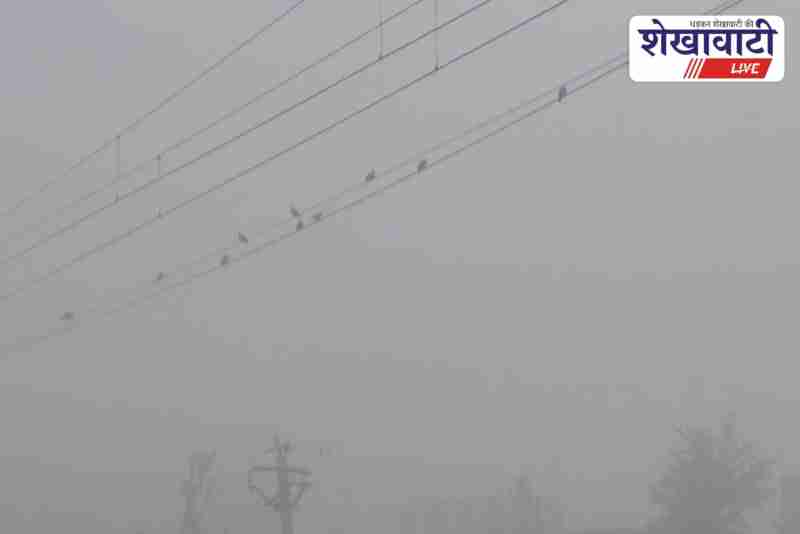 Dense fog covers Ratangarh roads as cold wave continues