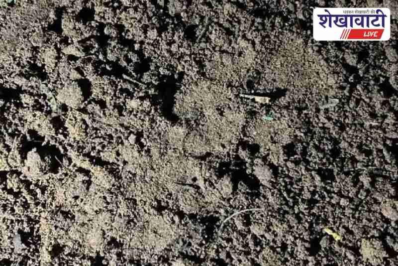 Forest team inspects leopard pugmarks in Buntiya village Churu